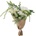 Bloomingville Lustre, изкуствени цветя, букет (82072561)