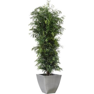 Nicoly tree 130 cm