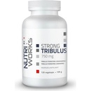 NutriWorks Tribulus Terrestris 750 120 kapslí