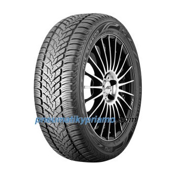 CST Medallion All Season ACP1 195/55 R16 91V )