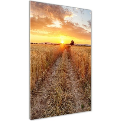 Vertikálny foto obraz sklenený Pole pšenice 50x100 cm