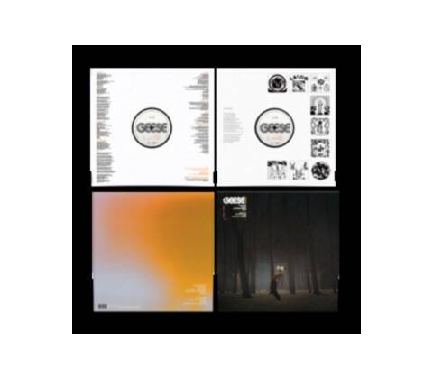 Geese - Projector LP