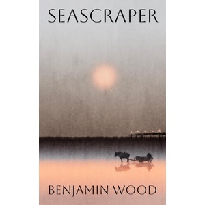 Seascraper | Benjamin Wood (ISBN: 9780241741344)