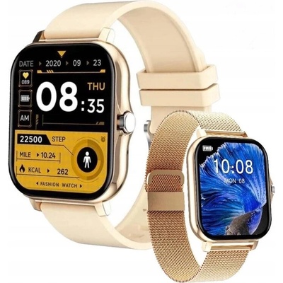 SIMSON LAB FIT PRO