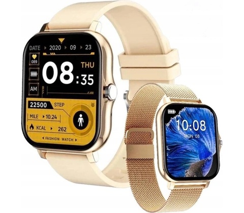 SIMSON LAB FIT PRO
