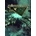 Starway Fleet