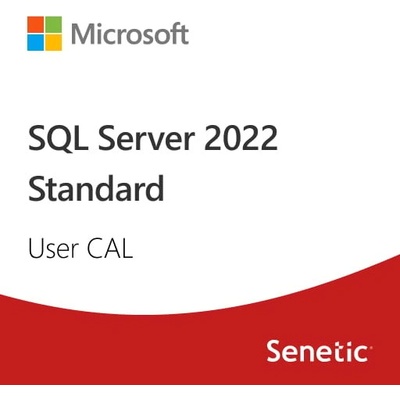 Microsoft SQL Server 2022 CALDG7GMGF0MF3T-0002 – Zboží Živě