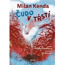 Čudo v tŕstí