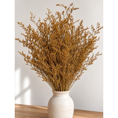 Dovoz z EU Limonium/Limonka stabilizovaná okrová svazek 100g