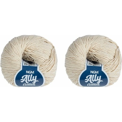 SET 2ks - Příze ALLY cotton Šampaň BX14058 - 50g / 140 m