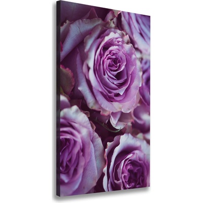 Vertikálny foto obraz na plátne Fialové ruže 50x100 cm