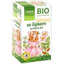 Apotheke Bio se šípkem 20 x 2 g