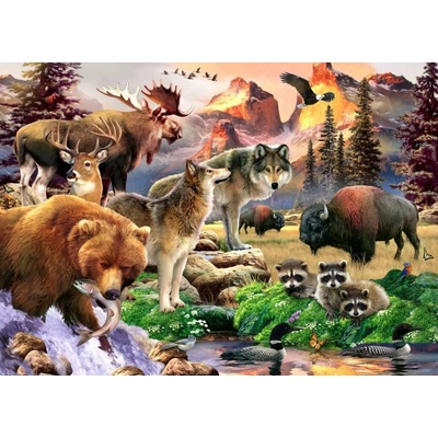 Alipson The Great Outdoors 500 dielov
