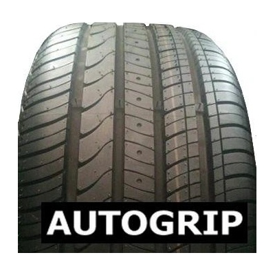 Autogrip Grip2000 225/45 R17 94W