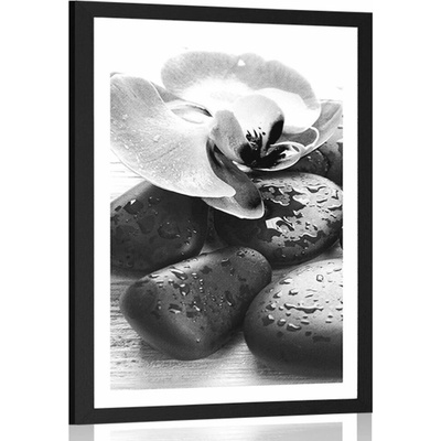Plakát s paspartou krásná souhra kamenů a orchideje v černobílém provedení - 20x30 silver