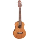 Takamine EGU-C1
