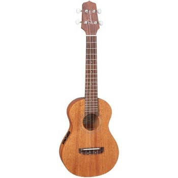 Takamine EGU-C1