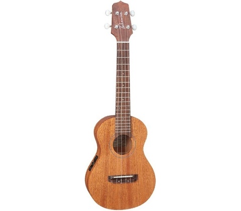 Takamine EGU-C1