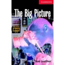 Big Picture