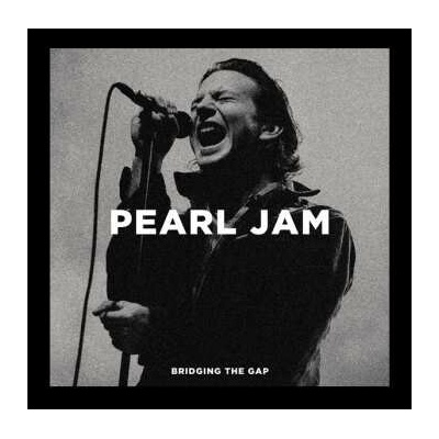 Pearl Jam - Bridging The Gap Vinyl 2 LP
