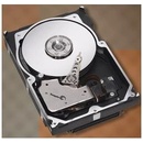 Seagate Cheetah 15K.7 300GB, 3,5", 1500rpm, SAS, ST3300657SS