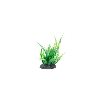 JK Animals Kapradie mini 13 cm