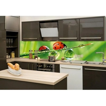 DIMEX ART s. r. o Фототапет за кухня - калинка 260 x 60 см