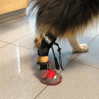 RuffWear Topánky pre psa na korigovanie chôdze