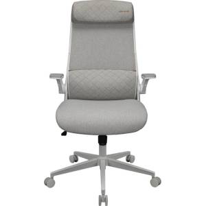 COUGAR COUGAR Stryder White Gaming Chair (CGR-STD-ASW) - tehnik