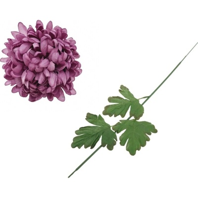 Chryzantéma lila 65 cm, sada 6ks