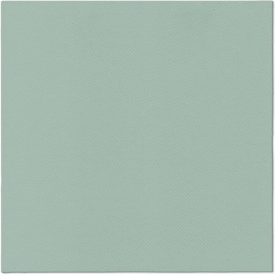 PAW Obrúsky Airlaid Monocolor Light Green 40x40cm