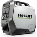 Procraft IGP25