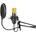 Vonyx CMS400B