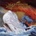 MASTODON - Leviathan