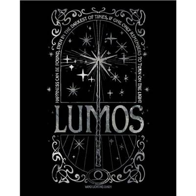 zuty Malování Podle Čísel Plakát Lumos Harry Potter 40 x 50 Cm Plátno Rám