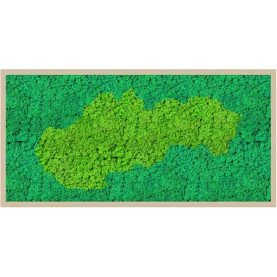 Machový obraz Mapa Slovenska