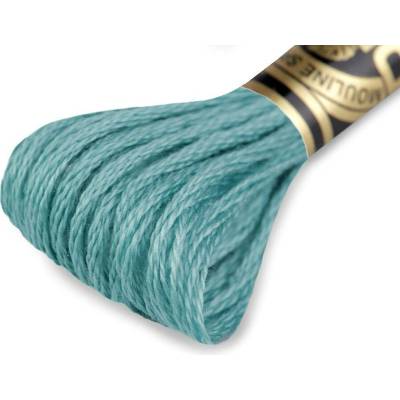 Vyšívací příze DMC Mouliné Spécial Cotton Varianta: 3849 zelená ledově, Balení: 1 ks 27729/15784/176597