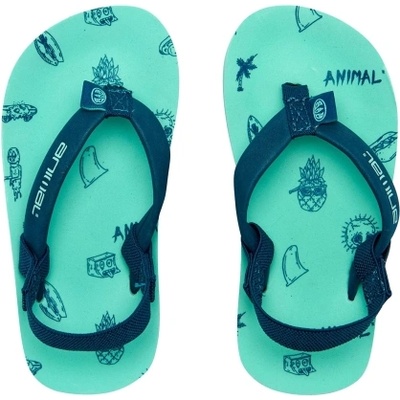 Animal ДЖАПАНКИ animal goofey (fm8sn750p18)