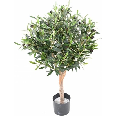 Olivovník prírodný kmeň, 90cm