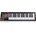 ICON iKeyboard 4X