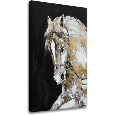 Obraz na plátne ŽREBEC - 50x70 cm