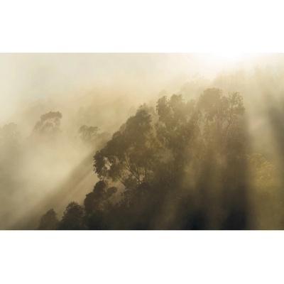 Komar Vliesová fototapeta Misty Mountain rozměry 400 x 250 cm