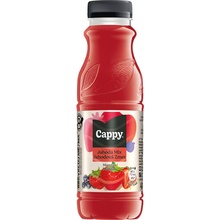 Cappy 34 % nektár jahoda 330 ml