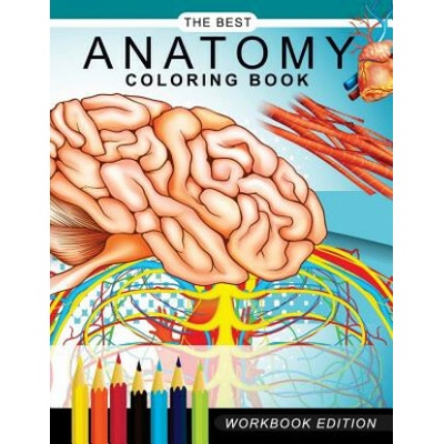 Anatomy coloring book: Muscles and Physiology Workbook Edition