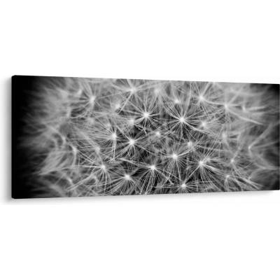 Obraz šedé pampelišky, jednodílný 120x50 cm
