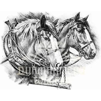 Image 1 of Коне 40/50 см