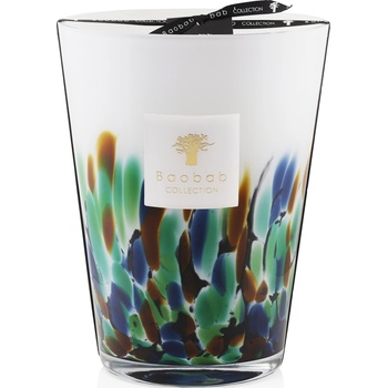 Baobab Collection Rainforest Amazonia 24 cm