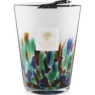 Baobab Collection Rainforest Amazonia 24 cm