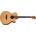 Tanglewood TR4CE