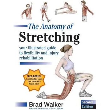 The Anatomy of Stretching: Your Illustrated Guide to Flexibility and Injury Rehabilitation